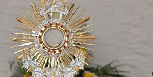 POSVETA MLADEŽI BEZGRJEŠNOM SRCU MARIJINU